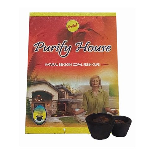 copa limpiacasas sree vani