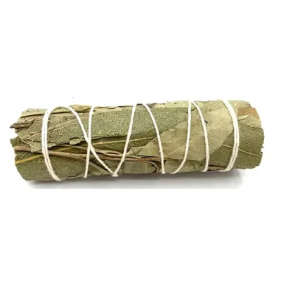 atado de eucalipto hierba